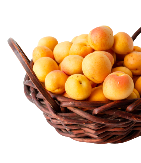 apricot